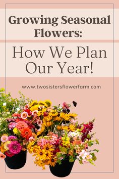 two black vases filled with colorful flowers and the words growing seasonal flowers how we plan our year