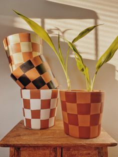 two potted plants sitting on top of a wooden table