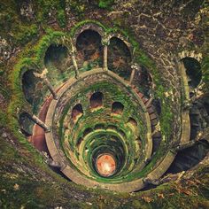 an aerial view of a spiral staircase with moss growing on it