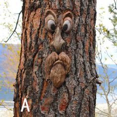 a tree with a face made out of it's bark and eyes drawn on