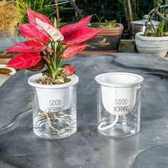 two clear vases sitting on top of a table with flowers in them and good morning written on the cups