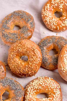 several bagels with sesame seeds and sprinkles