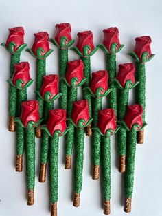 there are many red roses made out of grass