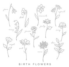 the birth flowers are shown in black and white, with words written on them to describe their