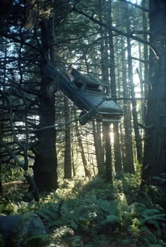 an abandoned car in the woods with sun shining through trees