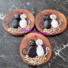 three cakes made to look like cats sitting on top of rocks and pebbles in a bowl