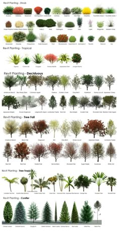 an image of trees in different colors and sizes, with the words save on it