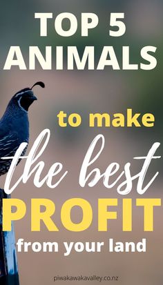 a bird sitting on top of a pole with the words top 5 animals to make the best profits from your land