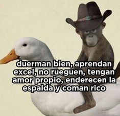 a monkey wearing a cowboy hat sitting on top of a duck with the caption,