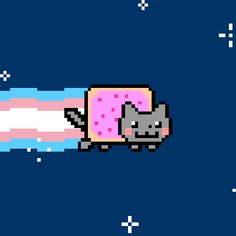 an image of a cat with a donut on it's back in space