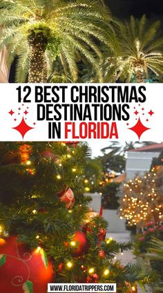 12 Best Christmas Destinations in Florida Best Christmas Destinations, Best Christmas Vacations, Christmas Getaways