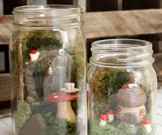 two jars filled with different types of plants and mushrooms