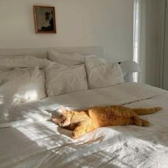 an orange cat laying on top of a white bed in a bedroom next to a window