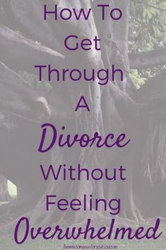 Divorce can be overwhelming at any age, follows these tips to stay focused and to ditch the overwhelm. Tips To Stay Focused, Marriage Counseling Questions, After A Divorce, Communication In Marriage, Separation And Divorce, Marriage Therapy, Think Positive Thoughts