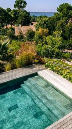 an outdoor swimming pool surrounded by greenery and trees with the ocean in the background