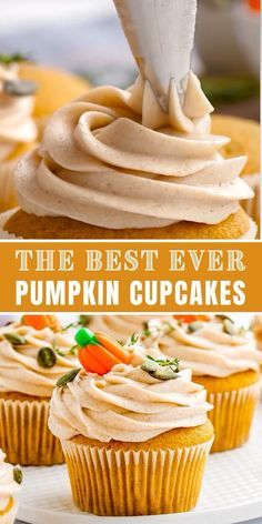 the best ever pumpkin cupcakes with cream cheese frosting