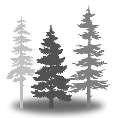 the silhouettes of trees are shown against a white background