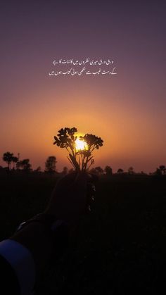 the sun is setting behind a tree in an open field with someone's hand holding it