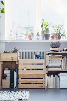 a room filled with lots of books and plants