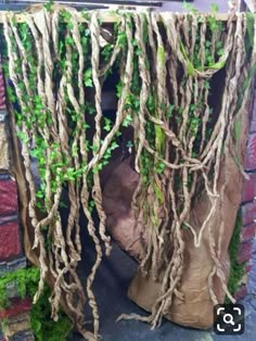 some plants are growing out of the side of a brick wall with vines on it