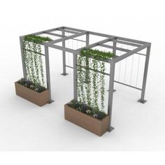 two planters with plants growing out of them