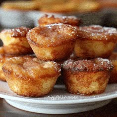 some sugared doughnuts are on a white plate