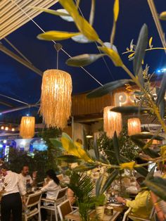 people are sitting at tables with plants and lights hanging from the ceiling in front of them