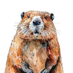 a watercolor painting of a groundhog sitting on its hind legs and looking at the camera