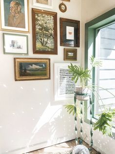 a living room with pictures on the wall and a potted plant in the corner