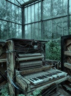 an old piano sitting inside of a greenhouse