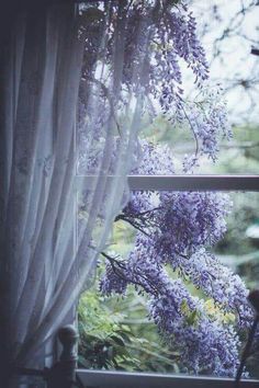 an open window with purple flowers on the outside and green trees in the back ground