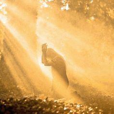 a person standing in the middle of a forest with their hands up and sunlight streaming through them