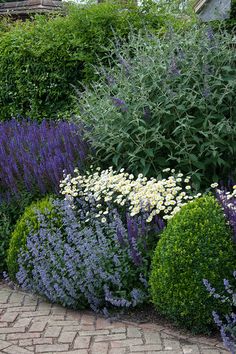 an image of a garden with flowers and plants in it on instagram for facebook