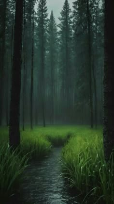 a stream running through a lush green forest filled with tall grass under a cloudy sky