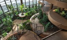 a spiral staircase with plants growing on the sides