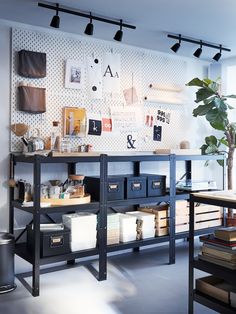 a room with many items on the shelves and a potted plant in the corner