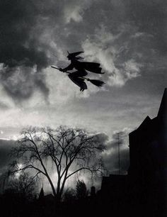 black and white photograph of two birds flying in the sky