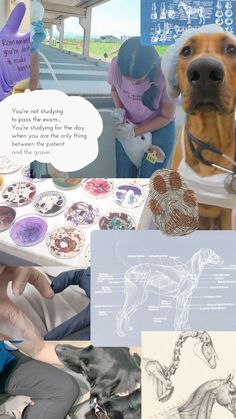 a collage of photos with dogs and people working on their designs in the background