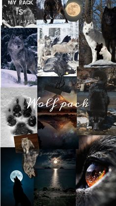 the wolf pack is full of photos and text, including an image of two wolfs