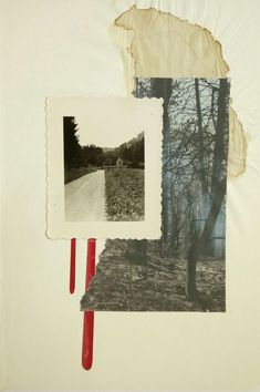 a collage of photos with red sticks sticking out of the ground and trees in the background