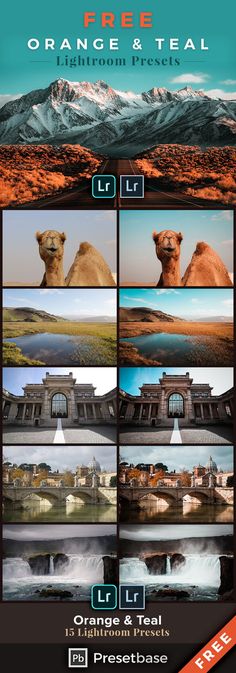 an advertisement for the orange and teal resort in oman, with images of camels