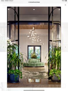 an image of a living room with plants in it