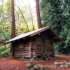 an old log cabin in the woods surrounded by trees