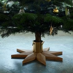 a small christmas tree in a wooden stand