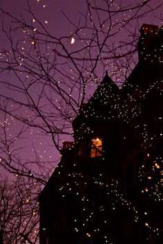 the night sky is lit up with christmas lights