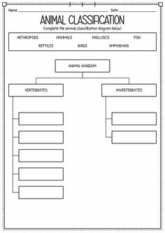 an animal class diagram with the name and description for each individual's animals in it