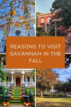 Reasons to Visit Savannah in the Fall Savannah Georgia In Fall, Savannah Georgia In November, Savannah In October, Savannah Georgia In October, Savannah Outfits Fall, Savannah Georgia Fall, 30 Bucket List, Savannah Georgia Vacation, Georgia Getaways