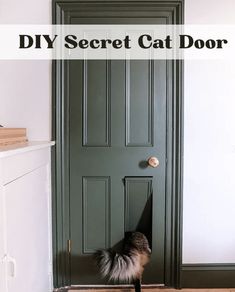 a cat peeking out from behind a door with the words diy secret cat door