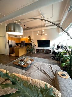 a living room filled with furniture and lots of plants on the floor in front of a flat screen tv