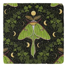 a green moth on black background with leaves and moon in the night sky above it